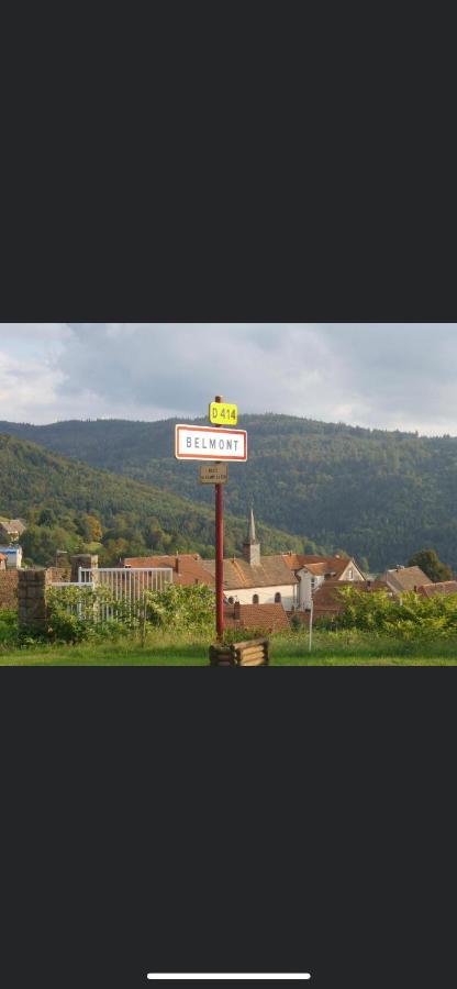 Gite De Montagne Au Pied Du Champ Du Feu Belmont  Εξωτερικό φωτογραφία
