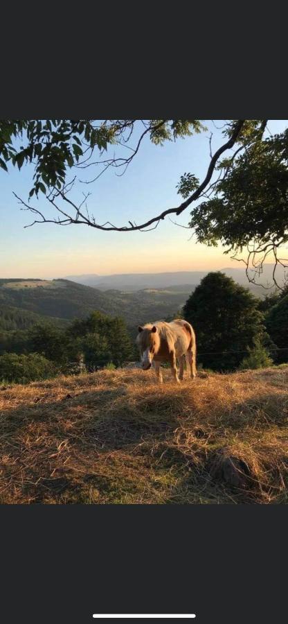 Gite De Montagne Au Pied Du Champ Du Feu Belmont  Εξωτερικό φωτογραφία